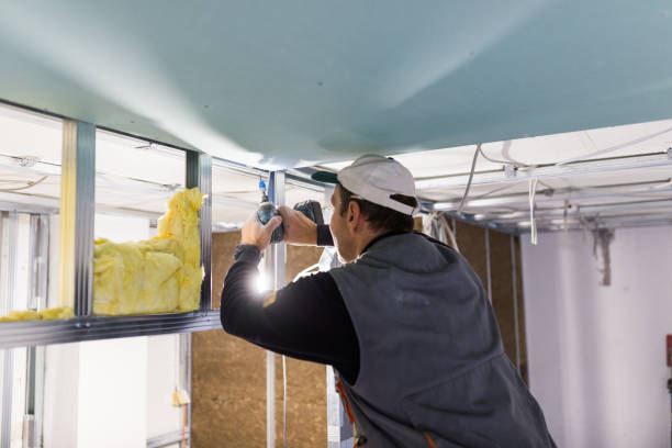 Best Eco-Friendly Insulation in Stonebridge, NJ