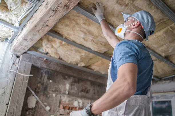 Best Cellulose Insulation in Stonebridge, NJ